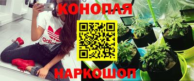 спайс Бузулук