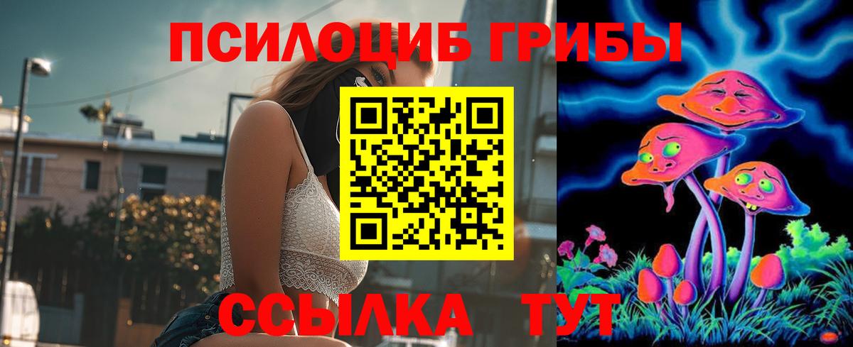 Галлюциногенные грибы Psilocybine cubensis Рыбинск